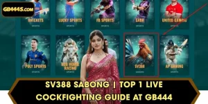 SV388 Sabong | Top 1 Live Cockfighting Guide at GB444