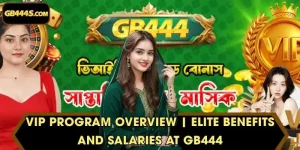 VIP Program Overview | Elite Benefits And Salaries At GB444